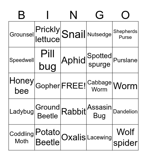 Garden Pest Bingo Card