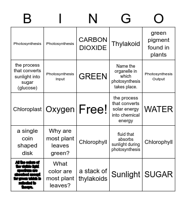 ANGEL LIBURWhat color are most plant leaves?D Photosynthesis Bingo Card