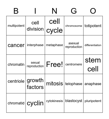 Cell Division Cell Cycle Bingo Card