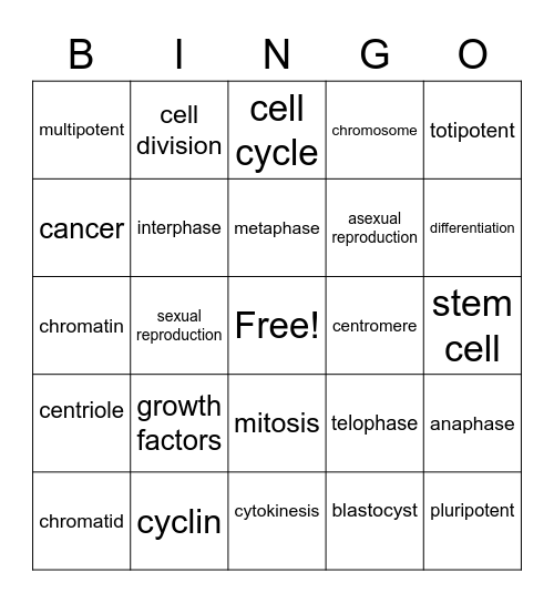 Cell Division Cell Cycle Bingo Card