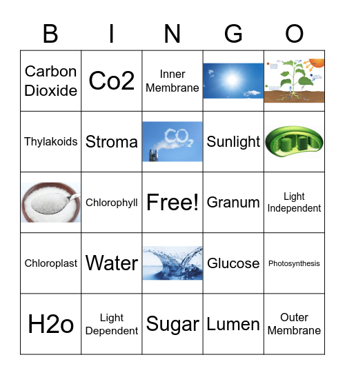 Mohammad Alakhras Bingo Card