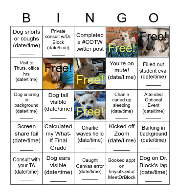 "Being Human" HIST262 BINGO Card