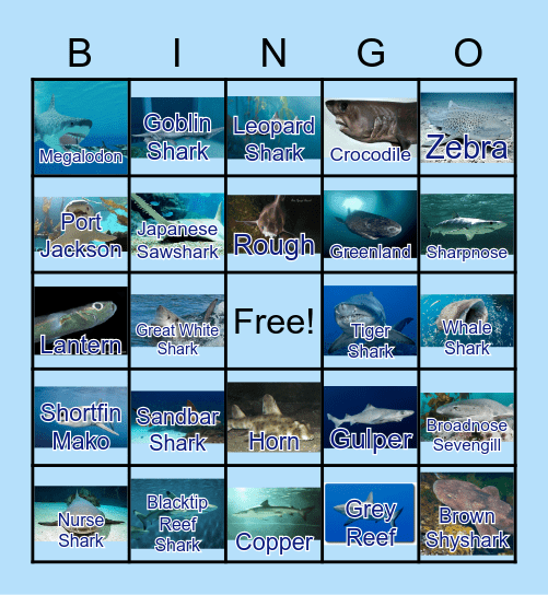 Shark Bingo Card