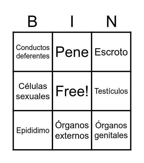 Sistema reproductor masculino Bingo Card