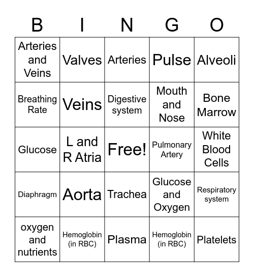 Biology Lesson 6 - Circulatory System Bingo Card