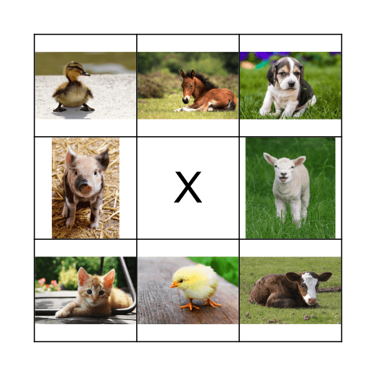 Animal babies Bingo Card