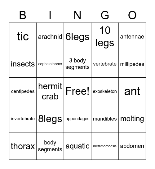 bug Bingo Card