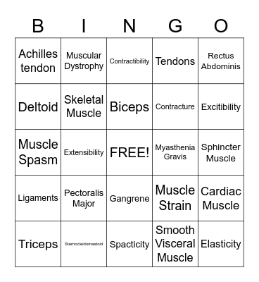 Muscular System Bingo Card