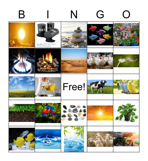 natural resources bingo