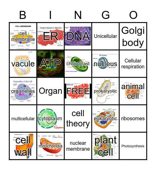 CELL BINGO Card