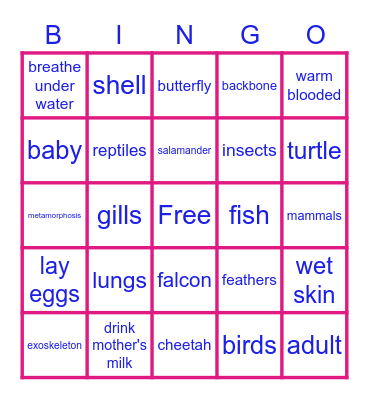 Animal Bingo Card