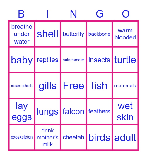 Animal Bingo Card