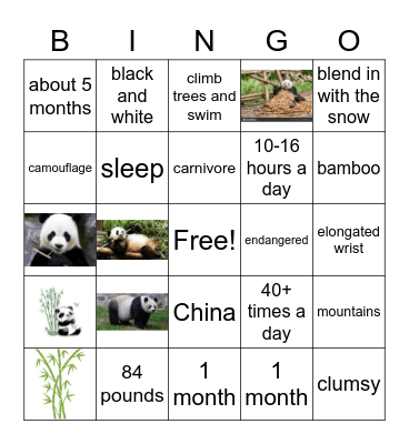 PANDAS Bingo Card