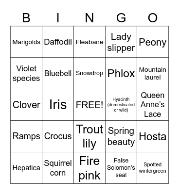 SPRING WILDFLOWER BINGO Card
