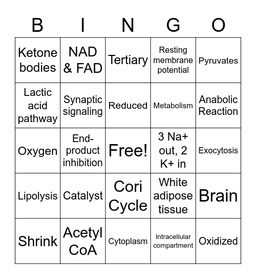 Module 2 Bingo Card