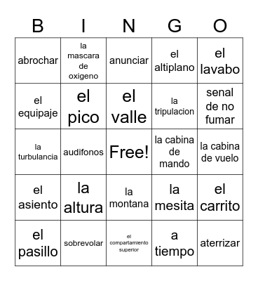 review of el vuelo words Bingo Card