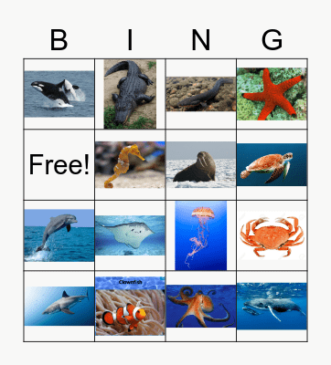 Sea animals Bingo Card
