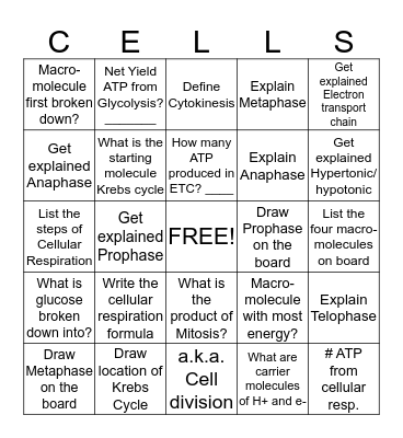 Unit One Activity Bingo Card
