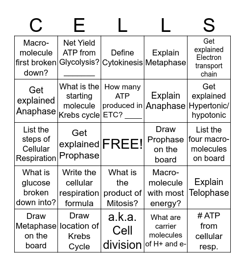 Unit One Activity Bingo Card