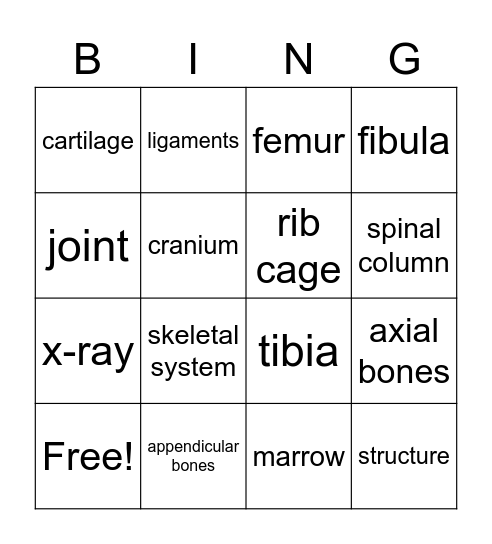 The Skeletal System Bingo Card