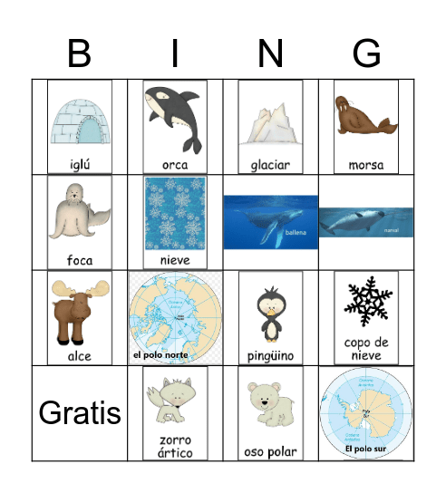 Los polos Bingo Card