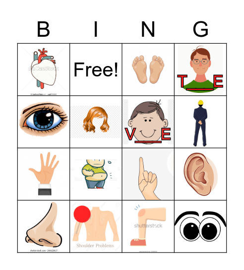 Partie du corps Bingo Card