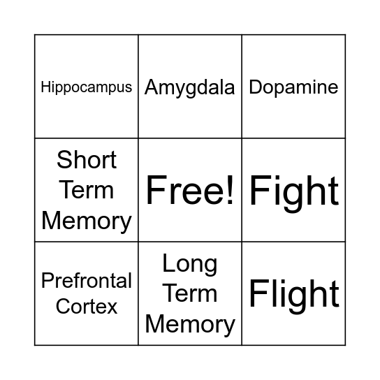 Parts of the Brain Bingo Card
