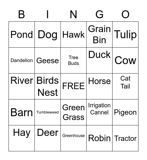 Nature Bus Bingo Card