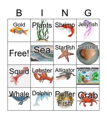 Picture Bingo! Bingo Card
