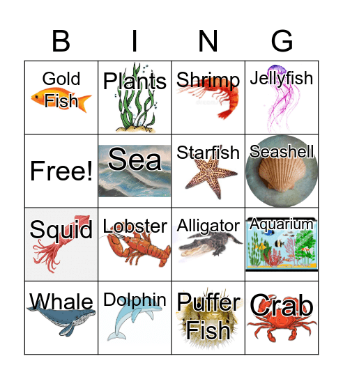 Picture Bingo! Bingo Card