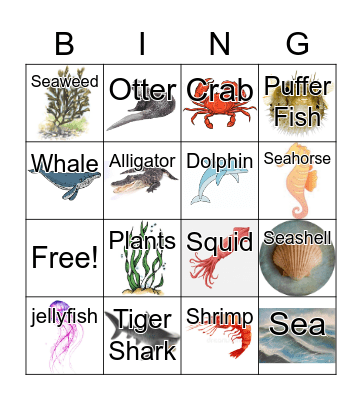 Picture Bingo!!! Bingo Card