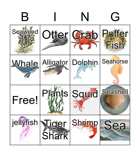 Picture Bingo!!! Bingo Card