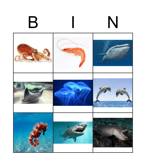 Sea Animals Bingo Card