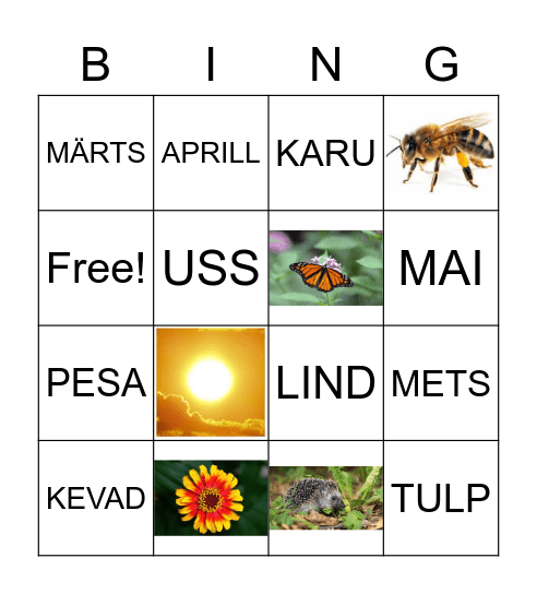 kevad Bingo Card