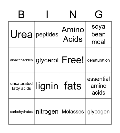 Macro nutrients Bingo Card