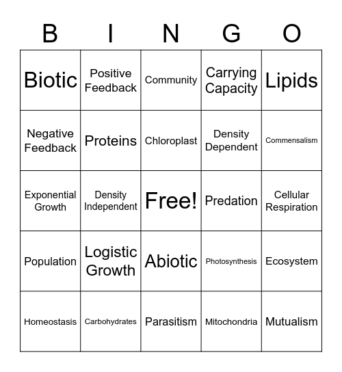 Bingo Final Bingo Card