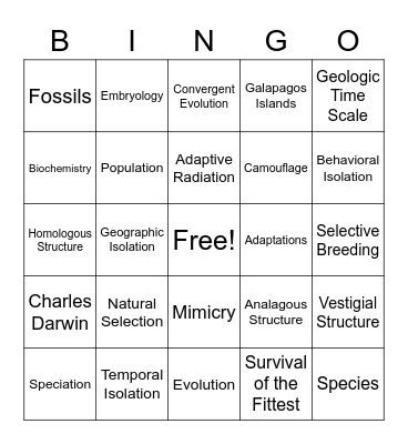 Evolution Vocabulary Bingo Card