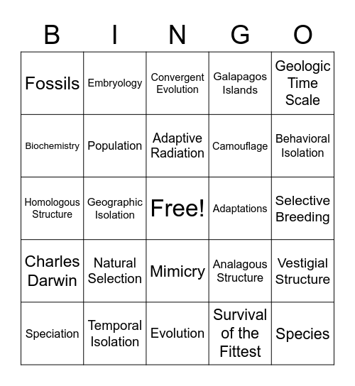 Evolution Vocabulary Bingo Card