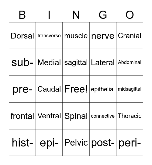 The Human Body in Health & Disease Bingo Card