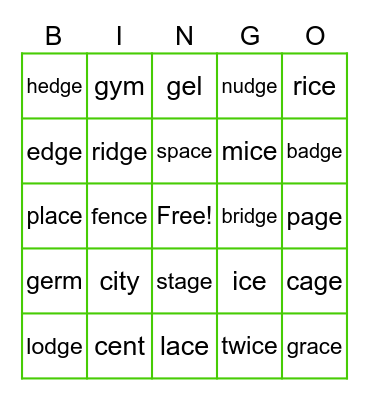Soft c and g Bingo Card