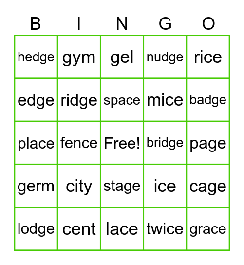 Soft c and g Bingo Card