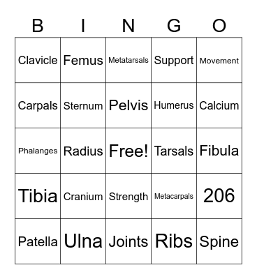 Skeletal System Bingo Card