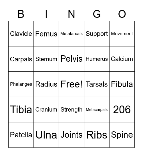 Skeletal System Bingo Card