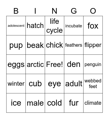 Arctic fox / Penguin review Bingo Card