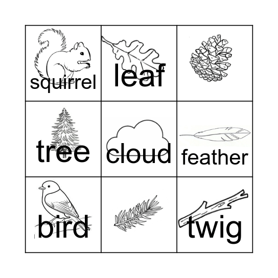 Nature Bingo Card