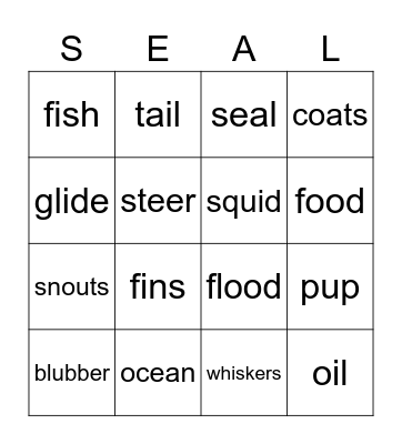 Seals Bingo Card