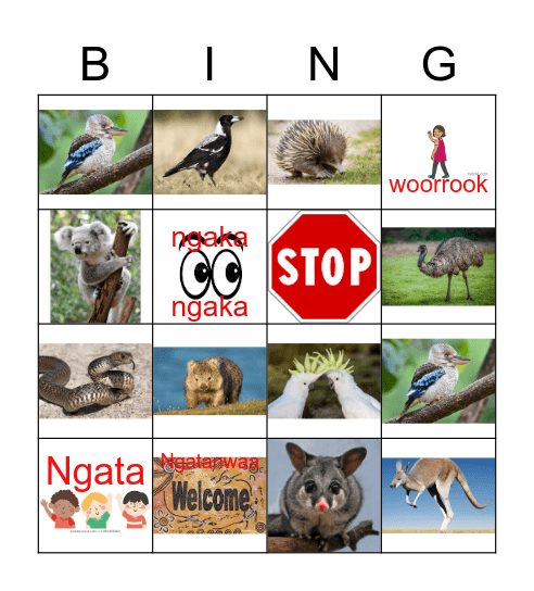 Peek Whurrong Australian animal BINGO Card
