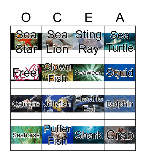 Ocean Bingo Card