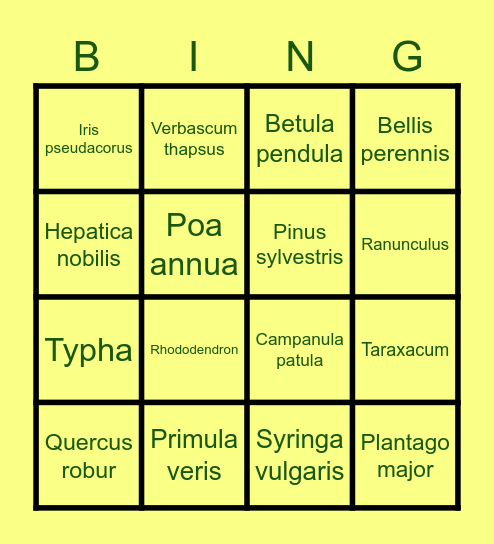 Park Bingo Card
