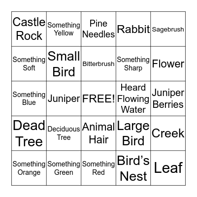 Castle Rocks Scavenger Hunt Bingo! Bingo Card